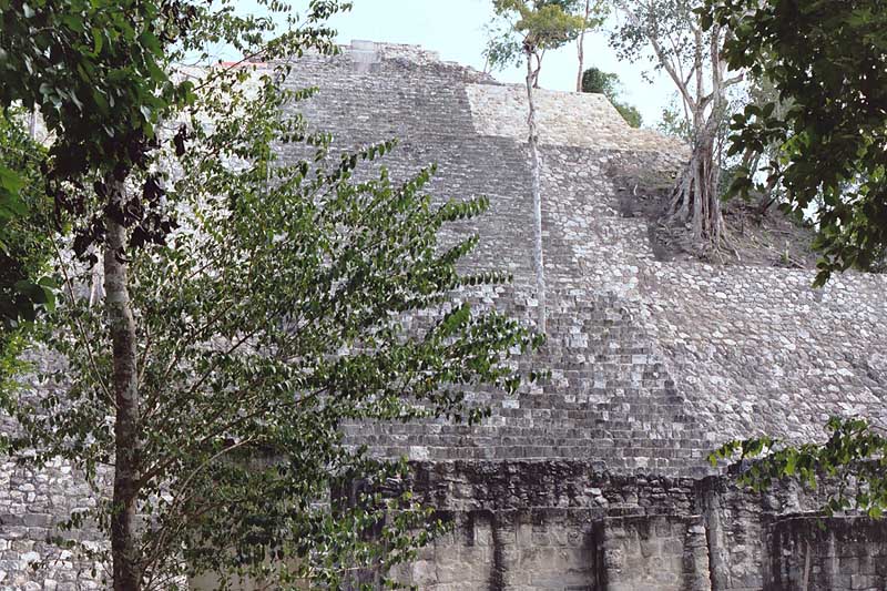 Stela 51 and 89