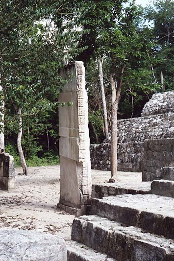 Stela 51 and 89