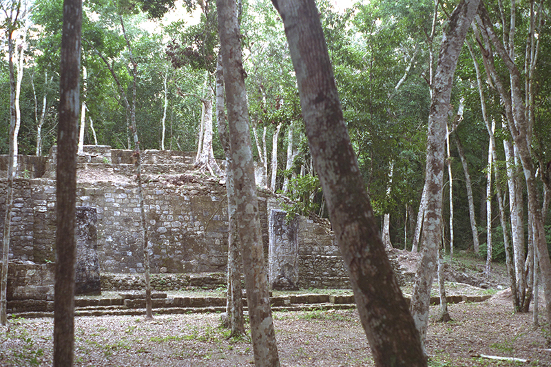 Structure V