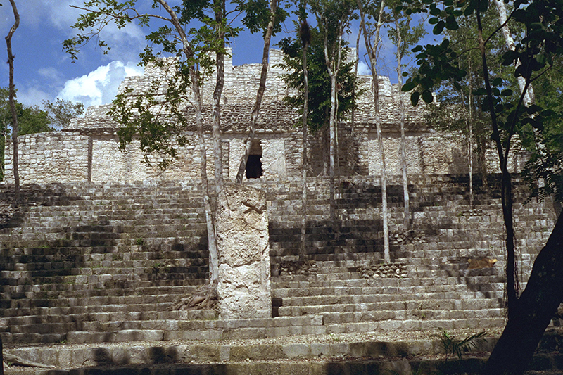 Structure XIII