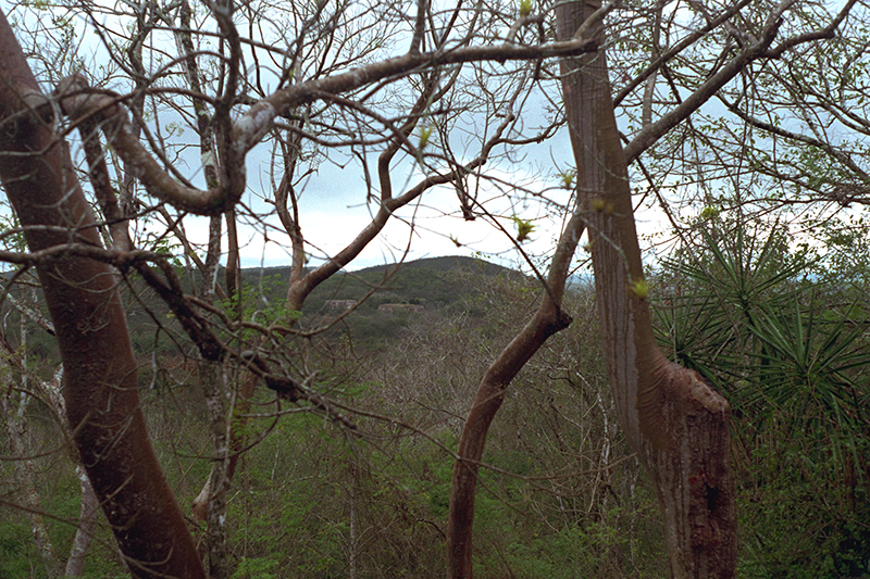 Chacmultun: View from Xetpol Group