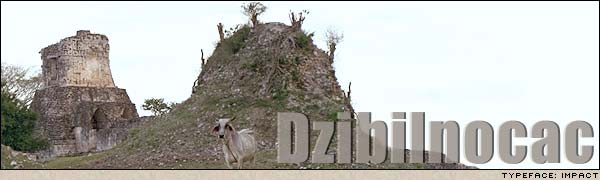 DZIBILNOCAC