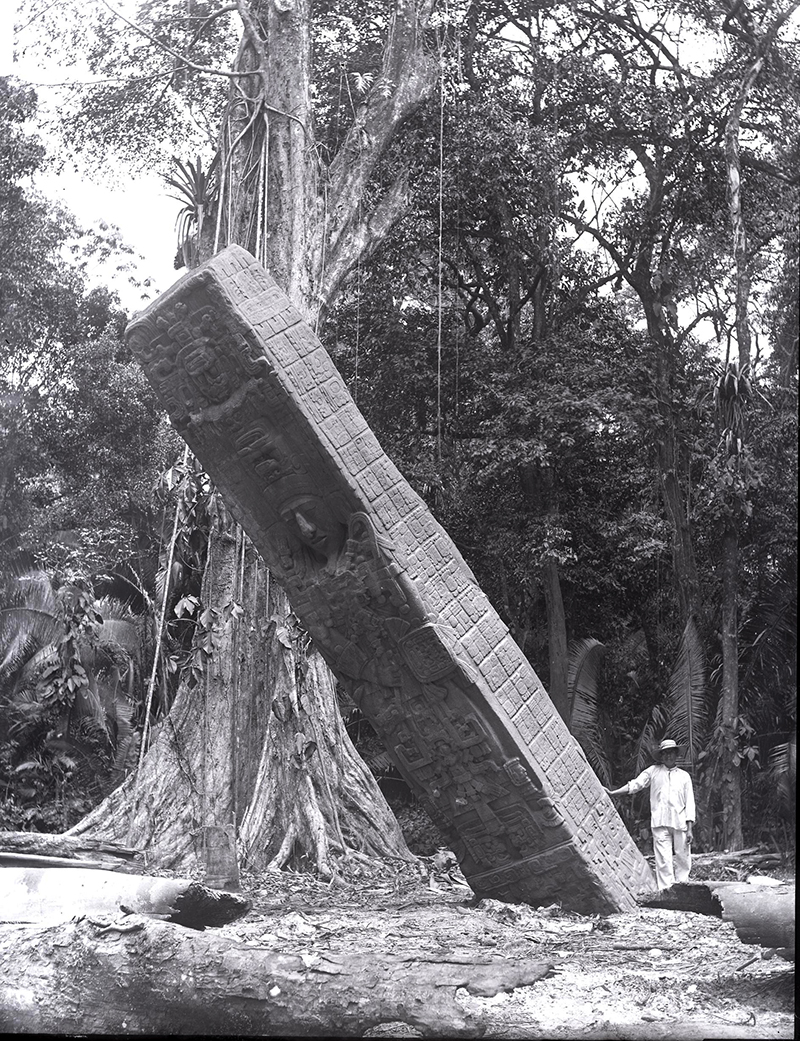 Stela E, North face, photo by Alfred Maudslay in 1894