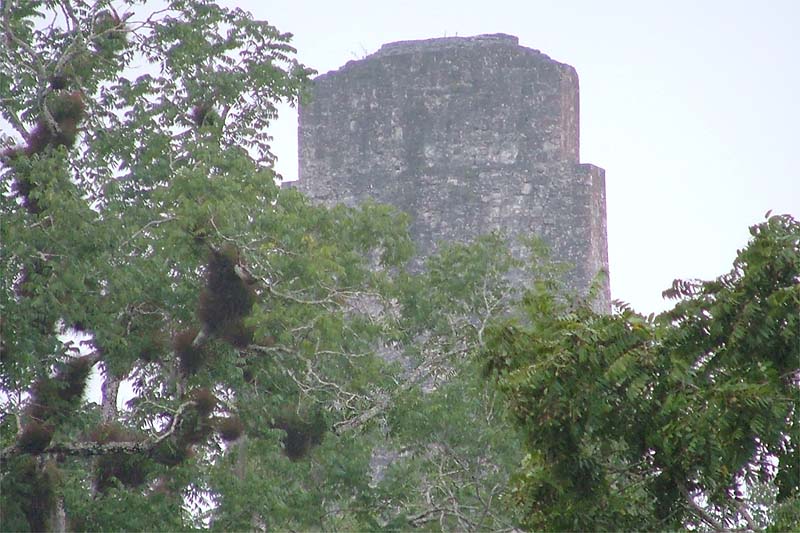 Tikal: Temple III