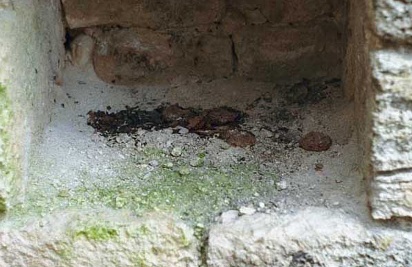 Becán: Niche with offerings