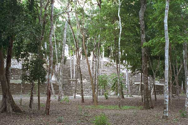 Structure VI, the western viewing platform of the Calakmul E-Group