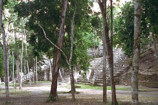 Wide view of the eastern sighting temples of the E-Group at Calakmul