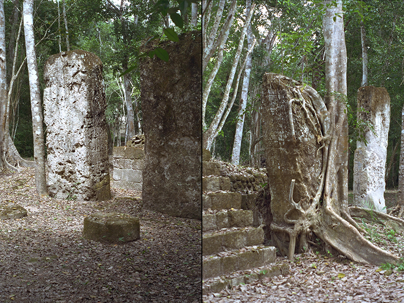 Eroded stelae 34, 35 and 36 at Structure V, Calakmul.