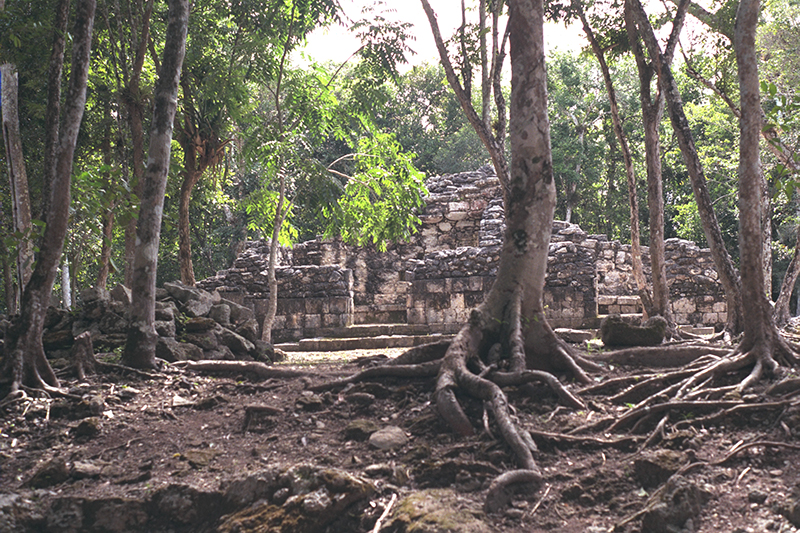 Chicanná, View of the ruined Structure X seen through the trees