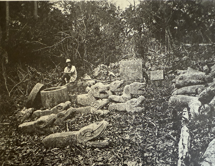 Photo of numerous serpent heads that Maudslay found partially buried in the area of the Venus Platform (which he referred to as Mound 14
