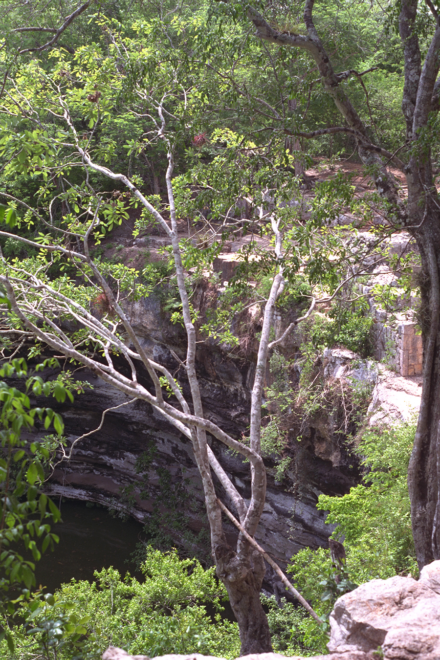 Chichén Itzá Sacred Cenote