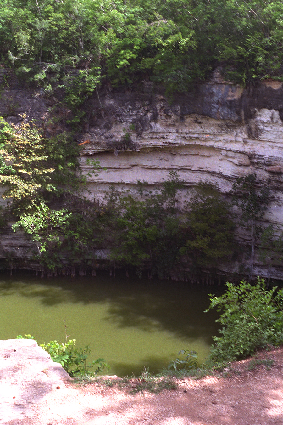 Sacred cenote at Chichén Itzá