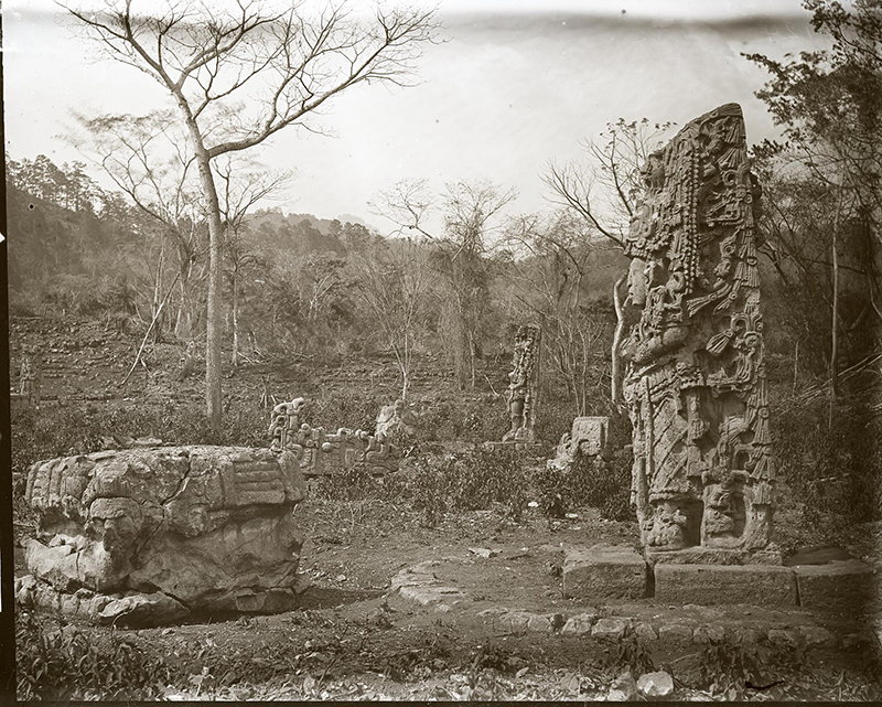 Maudslay 1890 glass plate negative of Great Stela Plaza, Copan