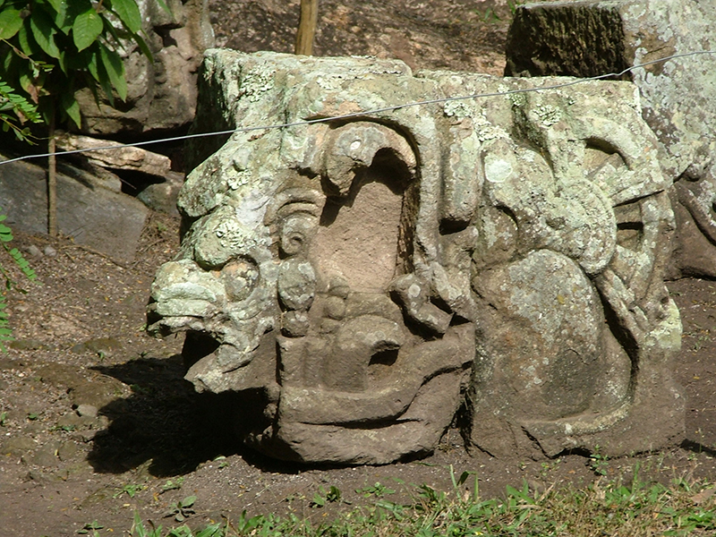 Fallen architectural fragment from Temple 11, Copan