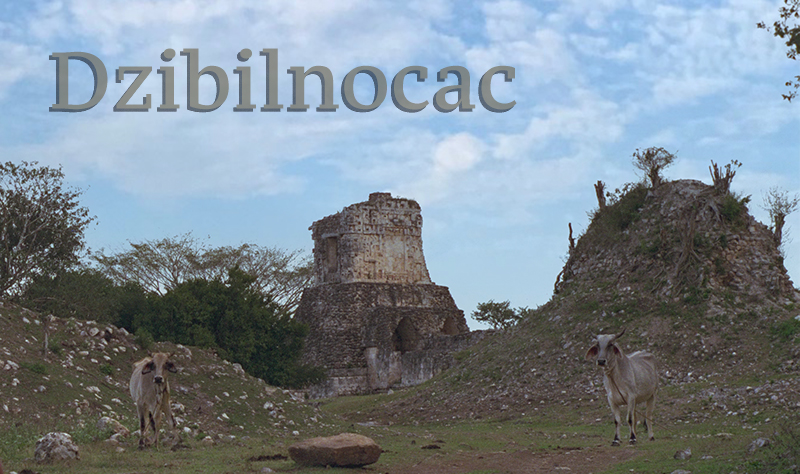 Dzibilnocac Banner Page