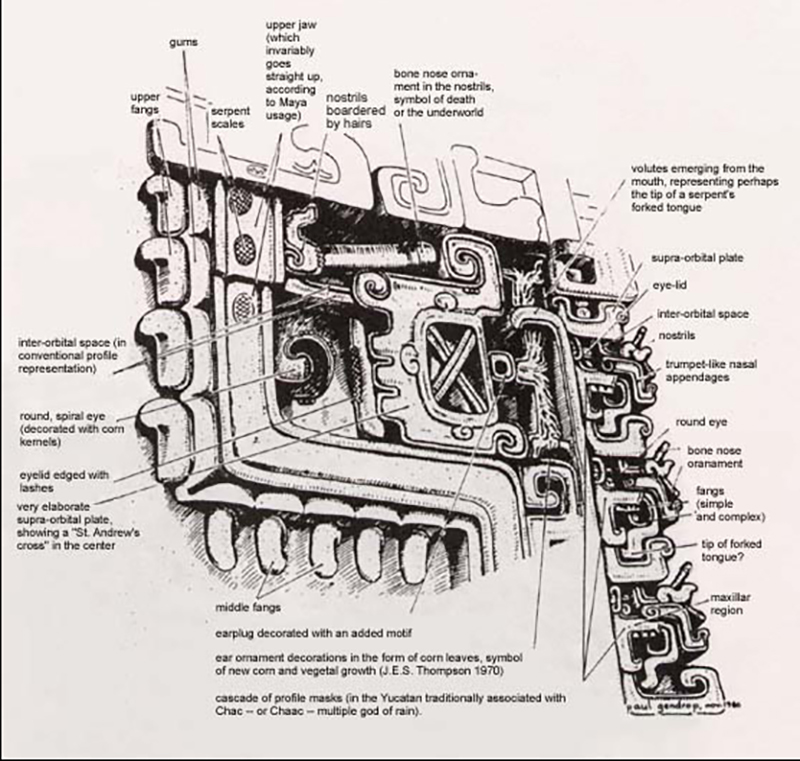 Diagram of abstract serpent design by Paul Gendrop