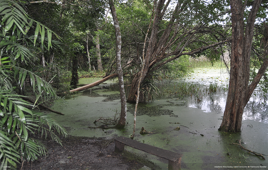 Calakmul aguada reservoir