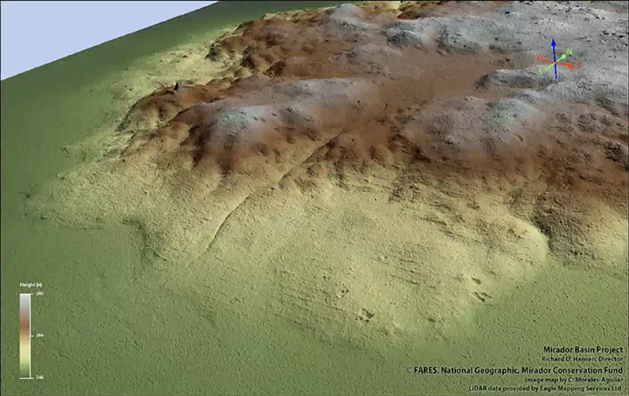 LiDAR view of raised terraces surrounding El Mirador