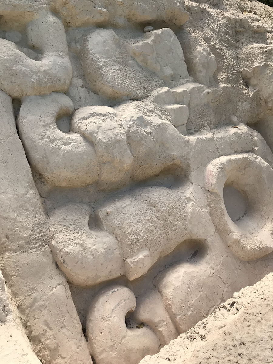 Closeup of Jaguar paws flanking masks on stairway to uppper Jaguar Paw Temple (Structure 34), El Mirador
