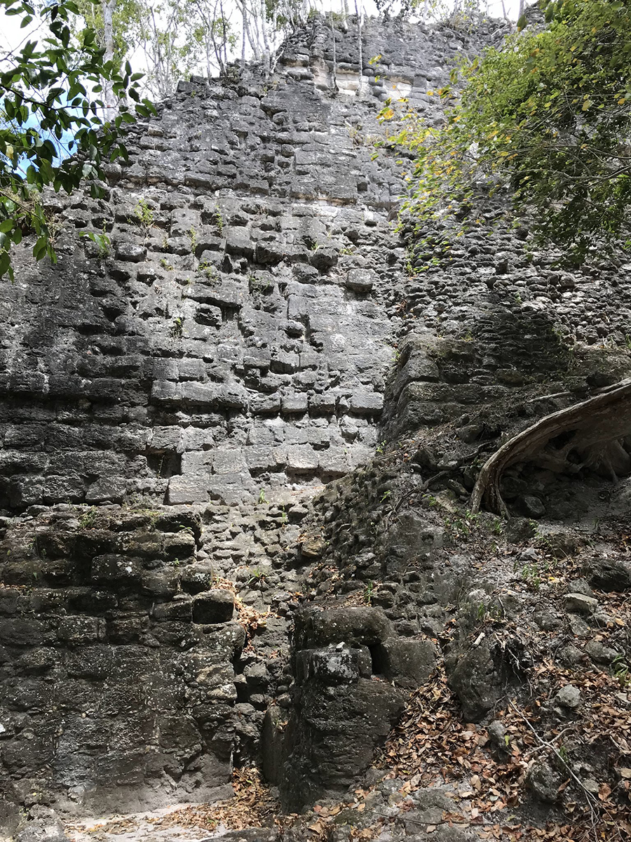 La Danta Pyramid, El Mirador. The largest pyramid at the site