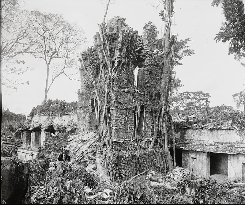 Historical 1890 photo by Alfred Maudslay showing the ruined state of the Palace Tower