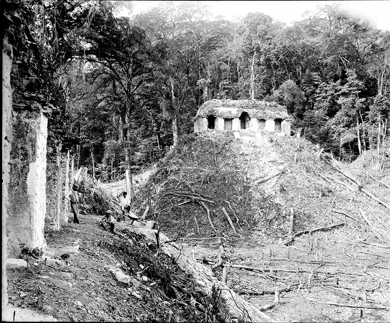 Maudslay’s 1890-91 photo of the Temple of the Inscriptions
