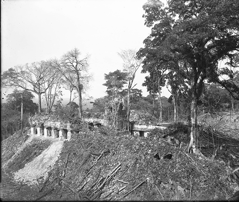 Maudslay’s 1890 photo of the Palace