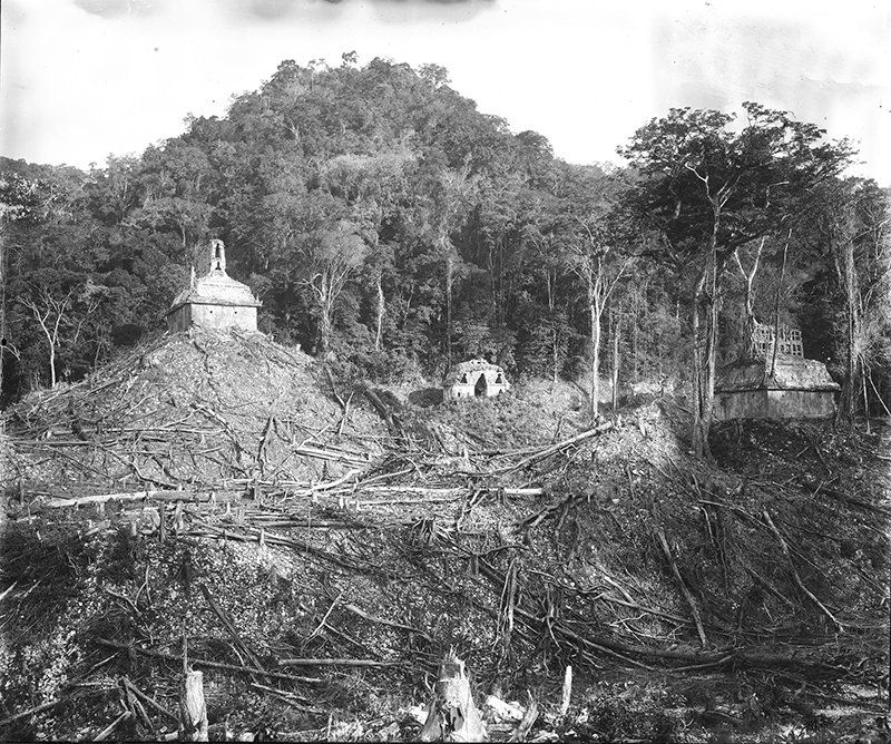 The Cross Group at Palenque photographed by Alfred Maudslay