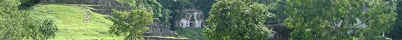 Palenque Header