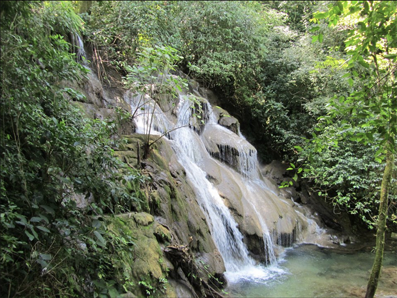 Palenque Otolum Spring