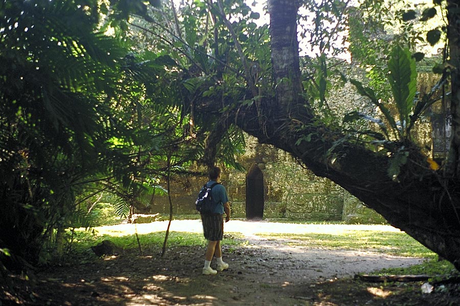 Tikal: Group G Entrance