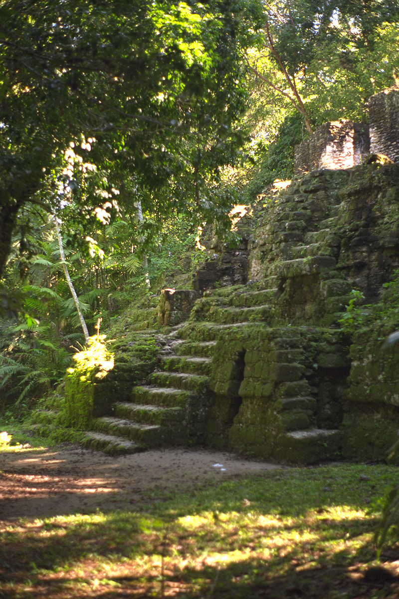 Tikal: Lost World complex