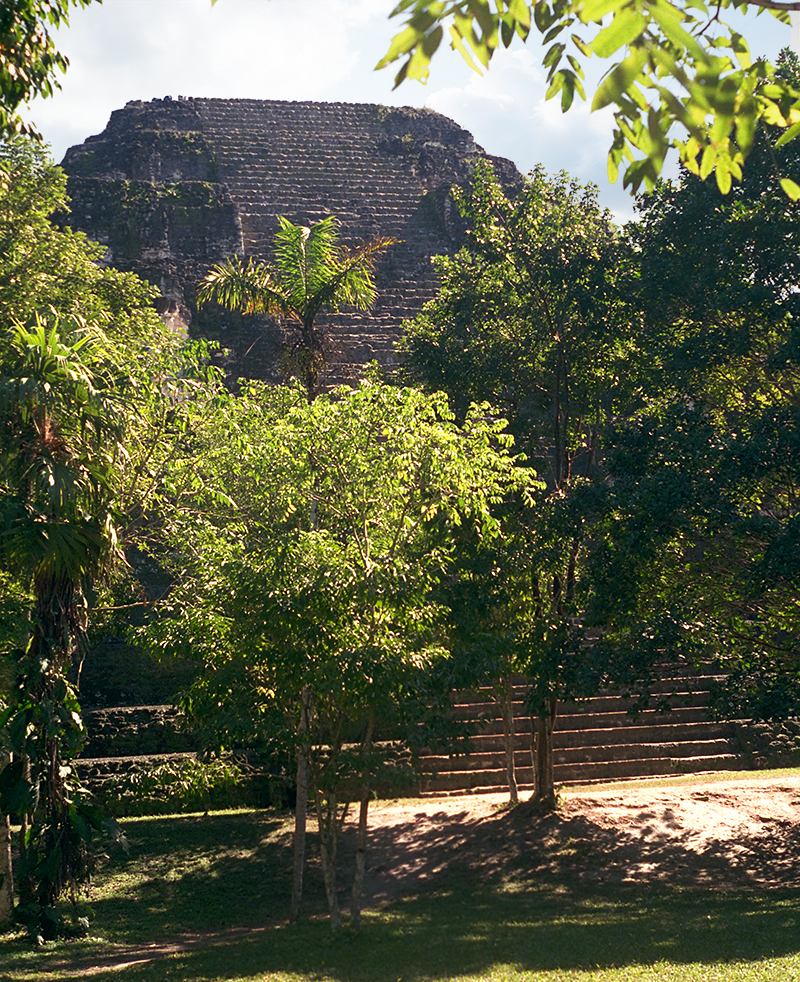 Tikal: Pyramid of the Lost World