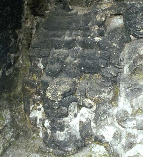 Snake Mountain Representation