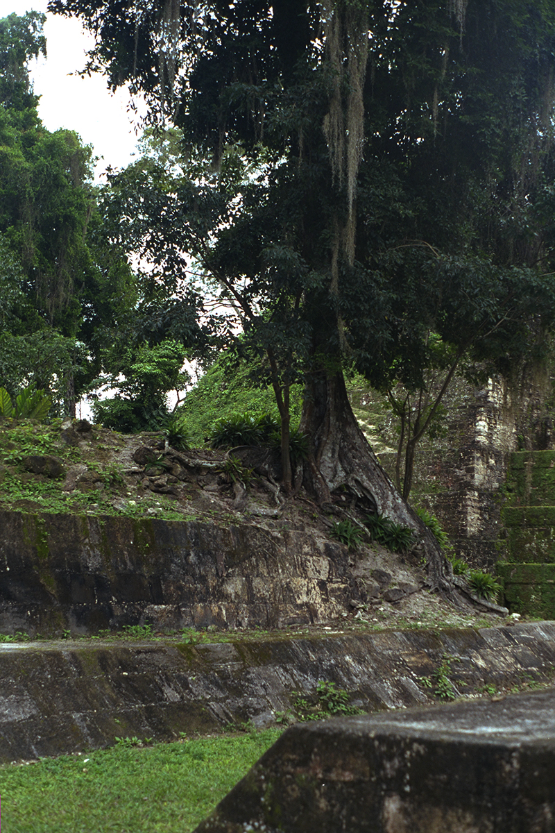 Ballcourt at Tikal