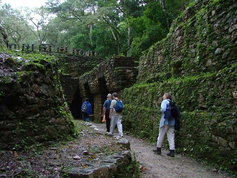 The Labyrinth (Structure 19) at Yaxchilan