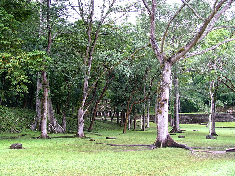 Structure 19 (The Labyrinth) at Yaxchilan