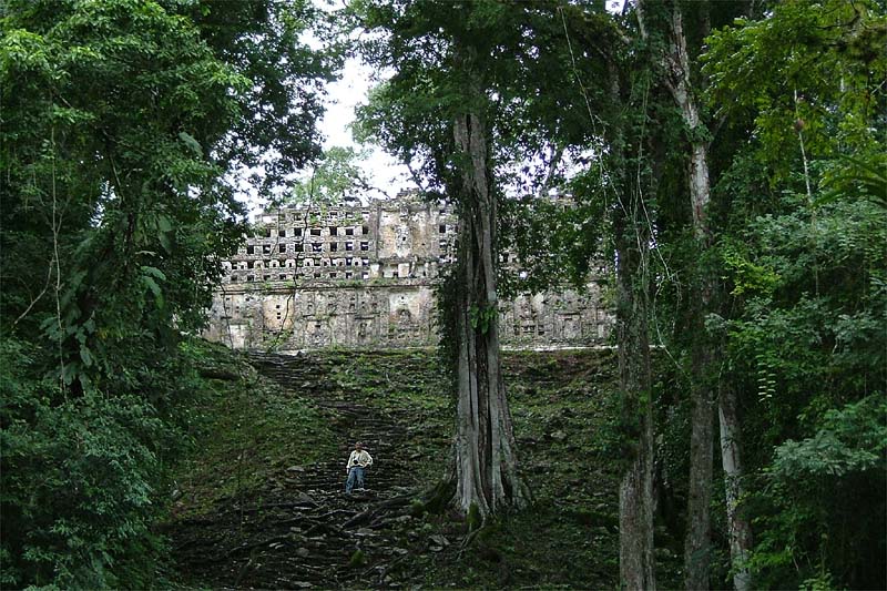 View looking up at the roofcomb of Structure 33 from the stairs