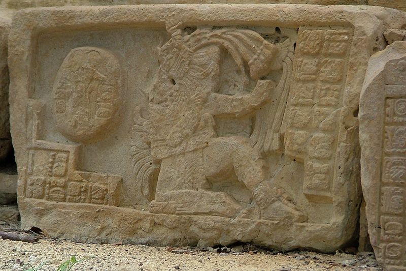 Structure 33 Step VI showing Shield Jaguar II