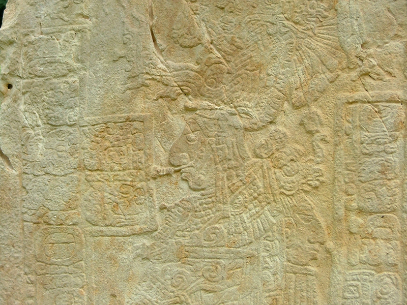 Temple side of Stela 6 showing Bird Jaguar III