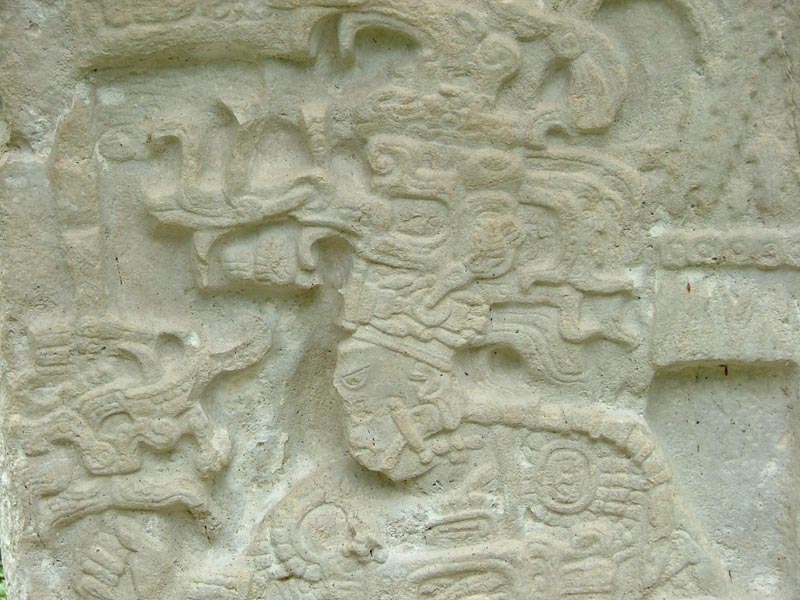 Closeup of Shield Jaguar II on Stela 5