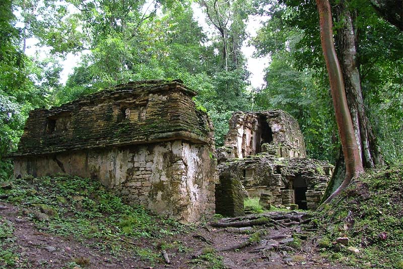 View of Structures 6 and 7 at Yaxchilan