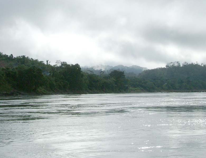 Morning mist rising over the Usumacinta River