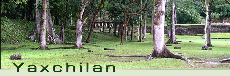 Panoramic header view of Yaxchilan ruins